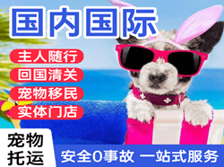 东极空运地址国际宠物托运 【国